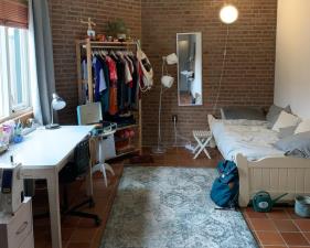 Room for rent 330 euro Mekkelholtsweg, Enschede