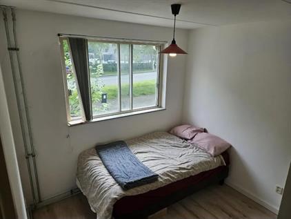 Kamer te huur 790 euro Ruitenborghstraat, Rotterdam