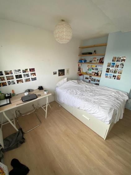 Room for rent 630 euro Tulpstraat, Rotterdam