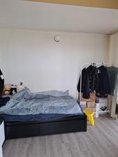 Room for rent 625 euro Koolwitjeshof, Utrecht