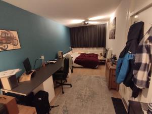 Room for rent 400 euro Cesar Franckstraat, Delft