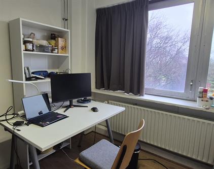 Kamer te huur 700 euro Aan 't Verlaat, Delft