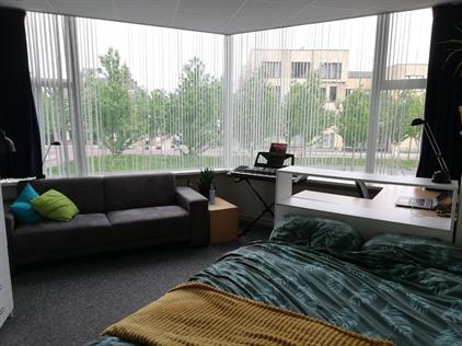Room for rent 375 euro Deurningerstraat, Enschede