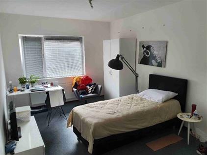Kamer te huur 570 euro Palmstraat, Nijmegen
