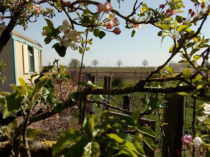 Room for rent 1050 euro Oosterweg, Leimuiden