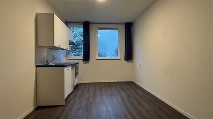 Kamer te huur 560 euro de Gealanden, Leeuwarden