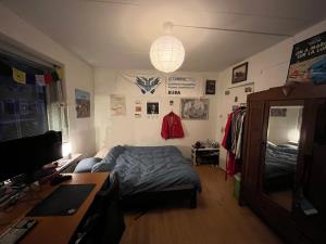 Room for rent 460 euro Westplantsoen, Delft