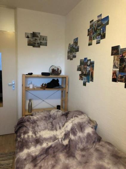 Room for rent 510 euro Watersnipstraat, Delft