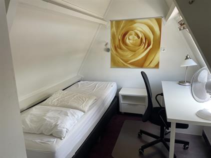 Kamer te huur 450 euro Goudenregenstraat, Leeuwarden