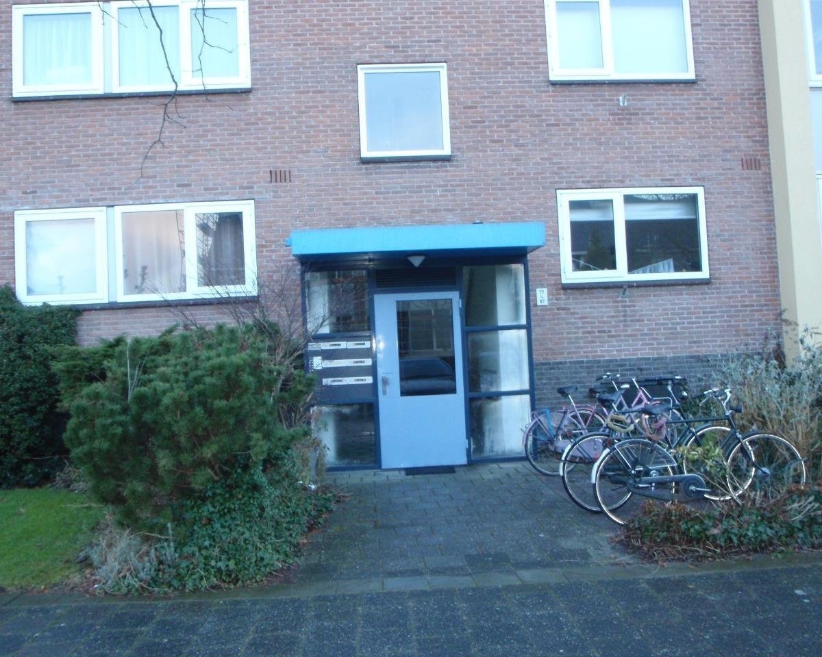 Schaepmanlaan
