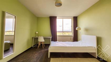 Room for rent 1150 euro Margarethaland, Den Haag