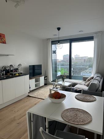 Zimmer bei Marius Bauerstraat In Amsterdam
