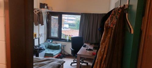 Kamer te huur 700 euro Professor Bromstraat, Nijmegen