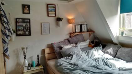 Zimmer zu vermieten 450 Euro Molenaerstraat, Haarlem