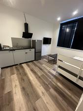 Studio for rent 1650 euro Ank van der Moerstraat, Amsterdam
