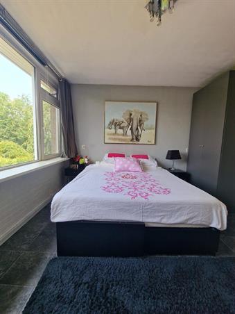 Kamer in Rotterdam, Jacob van Akenstraat op Kamernet.nl: Beautiful house near the University! 