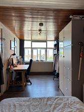 Room for rent 600 euro Tulpstraat, Rotterdam