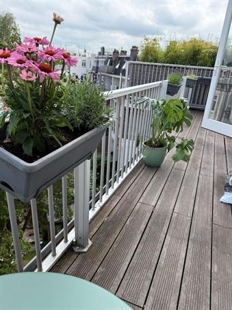 Zimmer bei Steve Bikoplein In Amsterdam