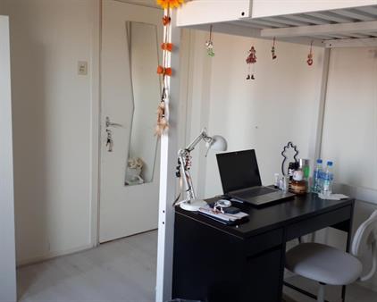 Room for rent 435 euro Gerard Noodtstraat, Nijmegen