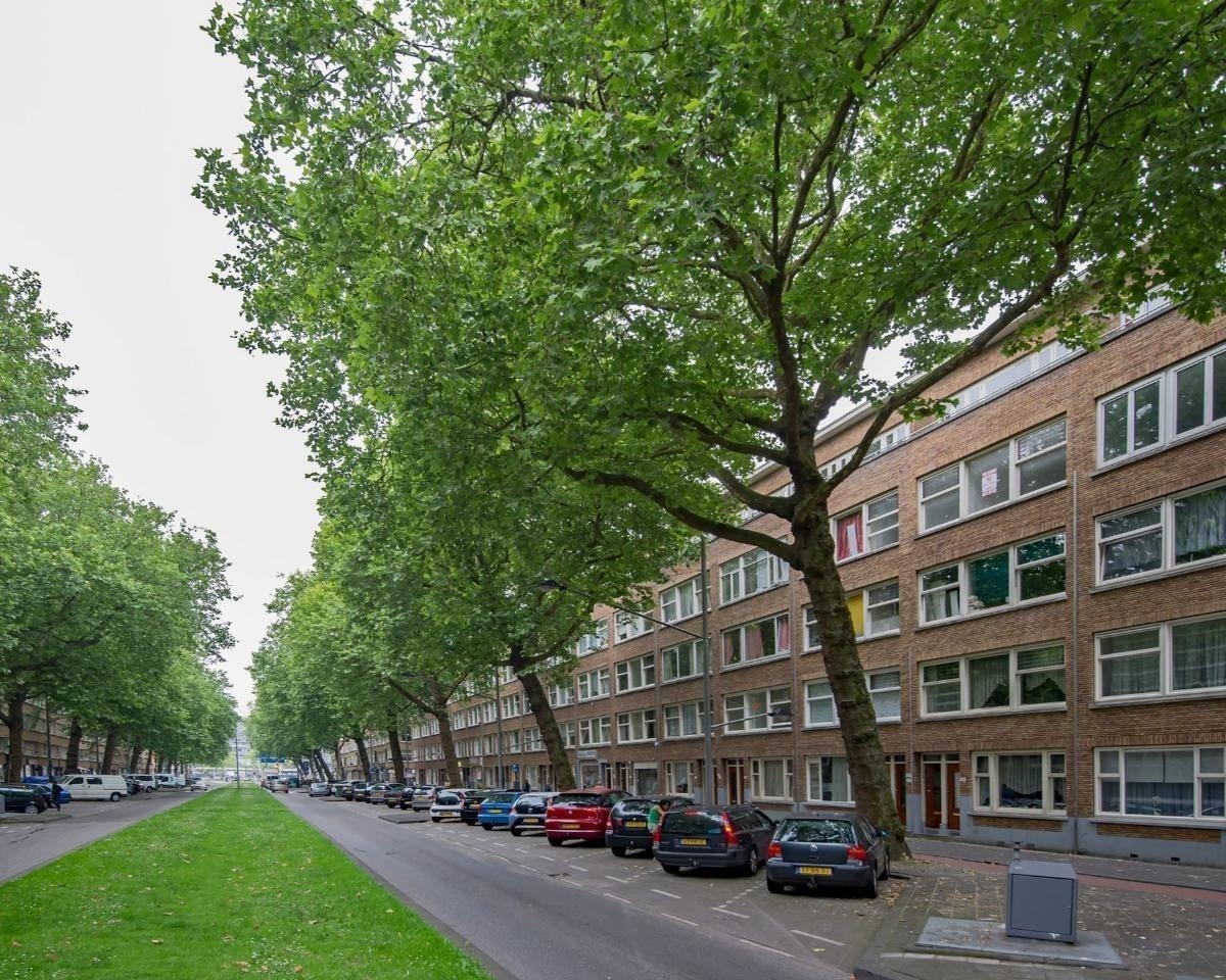 Dordtselaan