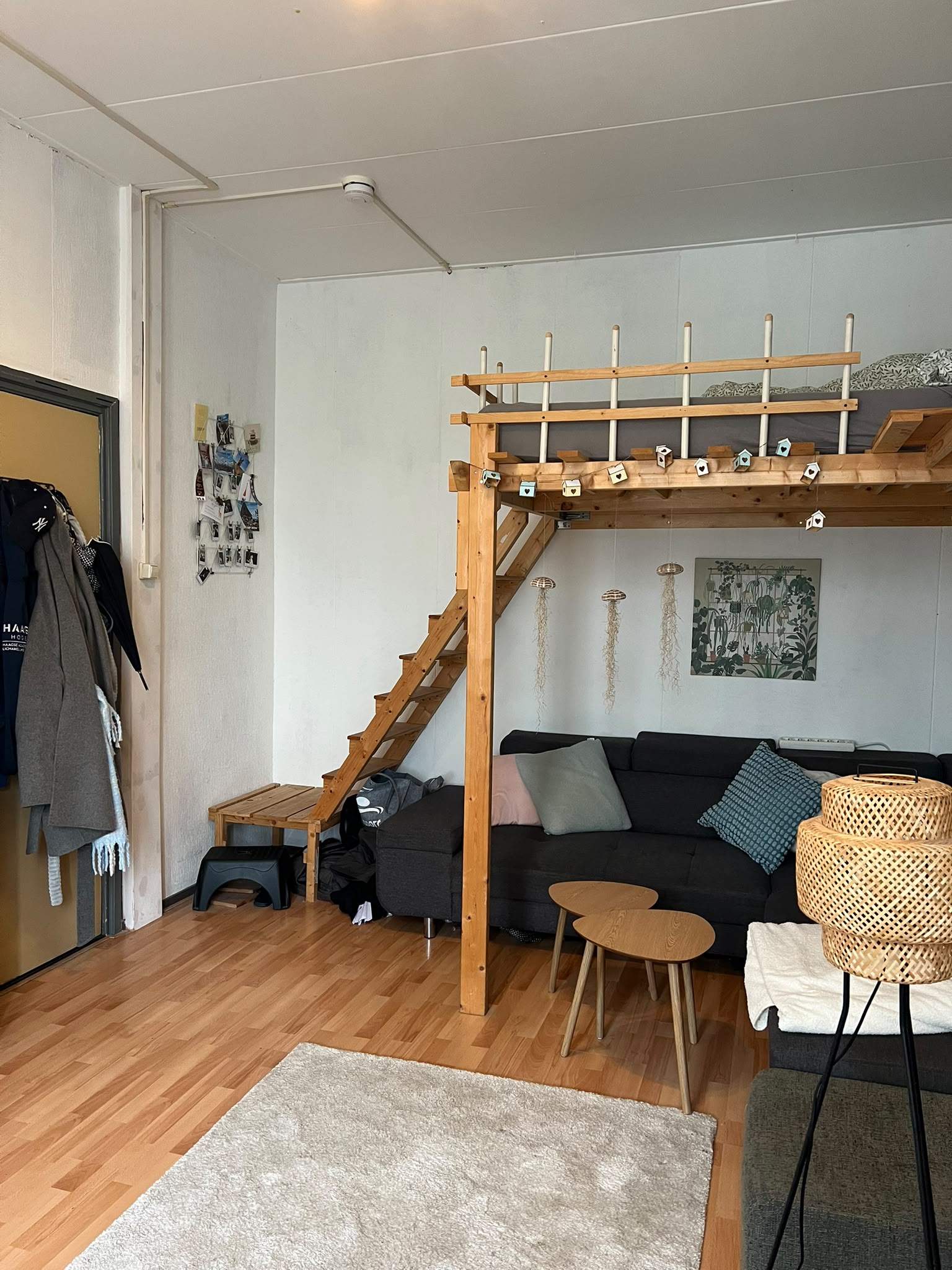Kamer te huur in Den Haag – Rijswijkseweg – foto 2