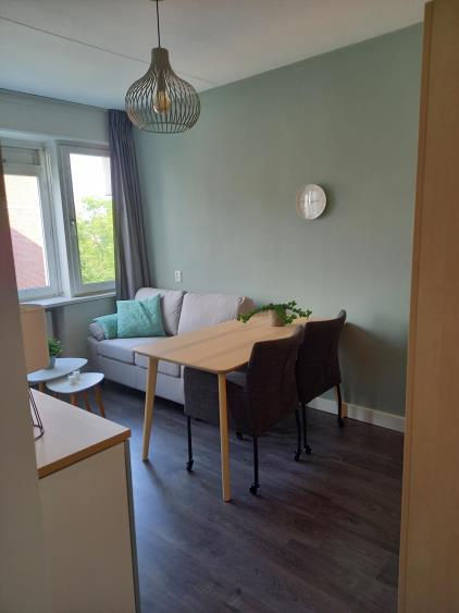 Kamer te huur 900 euro Marshallplein, Rijswijk