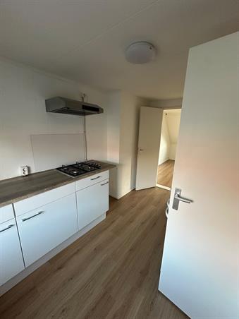 Studio bei 2e Koestraat In Leeuwarden