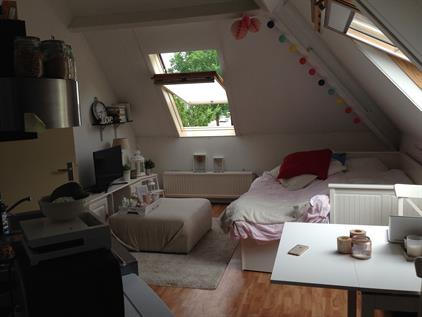 Room for rent 640 euro Molenstraat, Bennekom