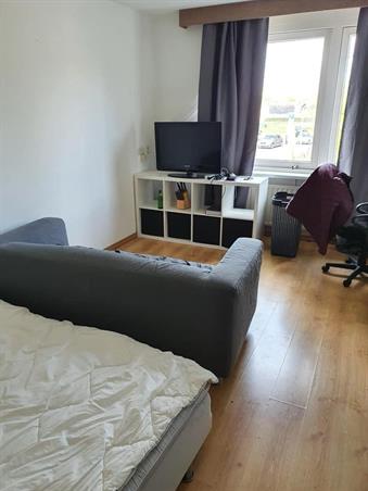 Zimmer bei Hasseltstraat In Tilburg