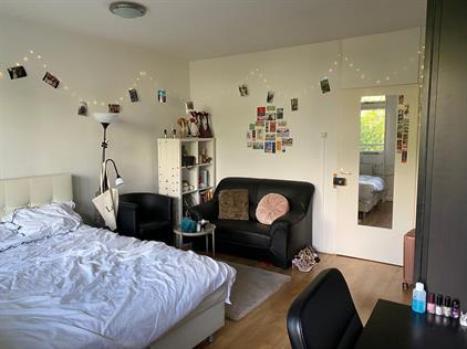 Kamer te huur 750 euro Cruquiuslaan, Leiden
