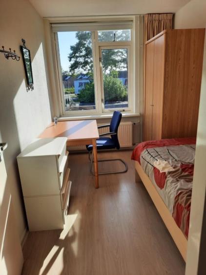 Kamer te huur 475 euro Speenkruid, Beilen