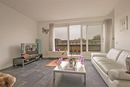 Room for rent 934 euro Vignolahof, Rotterdam