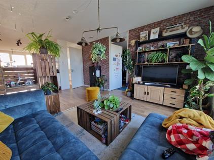 Room for rent 1000 euro Assumburg, Hoofddorp