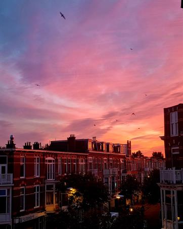 Zimmer bei Weimarstraat In Den Haag