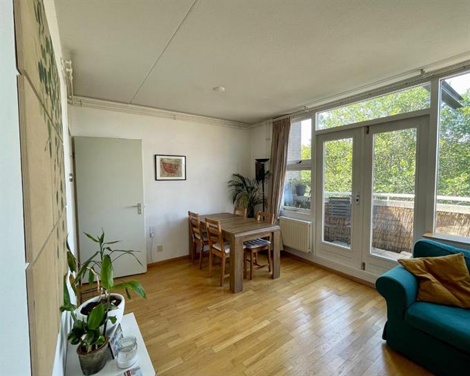 Kamer in Amsterdam, Kleine Wittenburgerstraat op Kamernet.nl: Appartement in Centrum