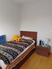 Room for rent 835 euro Spiegelnisserkade, Rotterdam