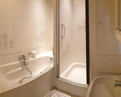 Room for rent 650 euro Henri ter Hallsingel, Rijswijk