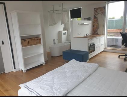 Room for rent 900 euro Schoterbosstraat, Haarlem