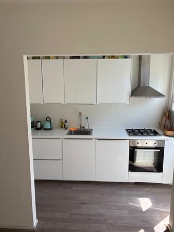 Zimmer bei Borgesiusstraat In Rotterdam