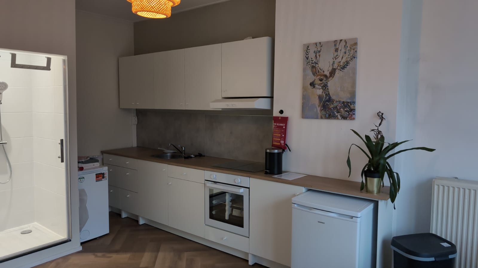 Studio te huur in Rotterdam – Henegouwerlaan – foto 2