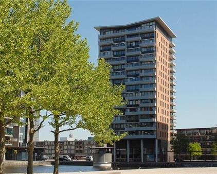 Room for rent 900 euro Fijnjekade, Den Haag