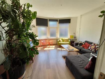 Room for rent 630 euro Vierambachtsstraat, Rotterdam