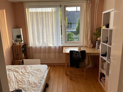 Room for rent 450 euro Spotvogellaan, Bilthoven