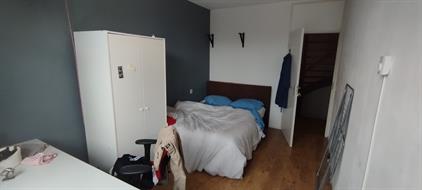 Room for rent 460 euro Lenteklokje, Leeuwarden