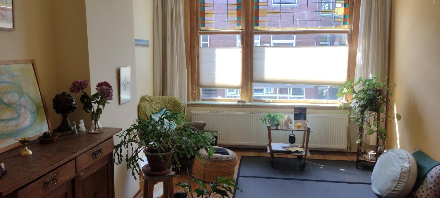 Appartement aan Hoenderloostraat, Den Haag 9