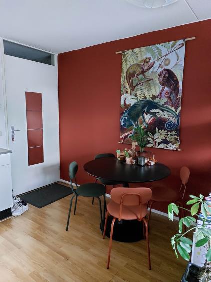 Kamer te huur 460 euro Delftstraat, Haarlem