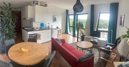 Apartment for rent 900 euro Burgemeester Fockema Andreaelaan, Utrecht