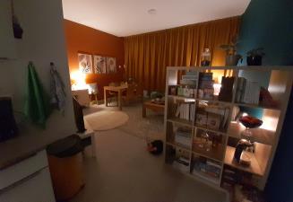 Studio for rent 1080 euro Anna Paulownastraat, Groningen