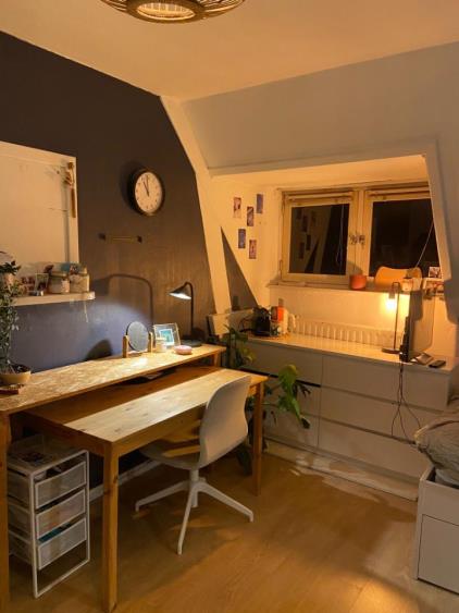 Kamer te huur 375 euro Willem Barentzstraat, Eindhoven