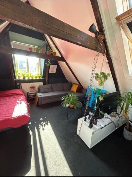 Room for rent 681 euro Boterdiep, Groningen